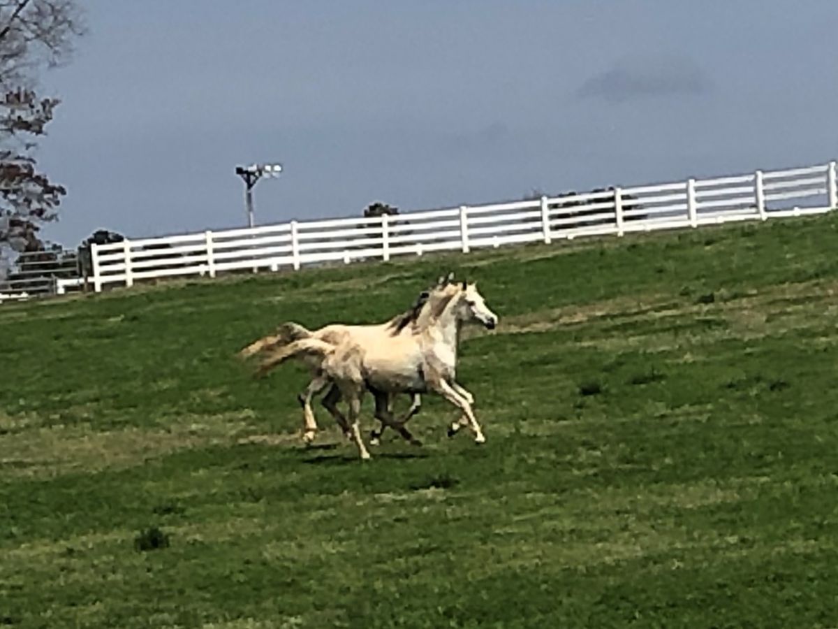 Gallery Whispering Hills Memorial Nature Preserve