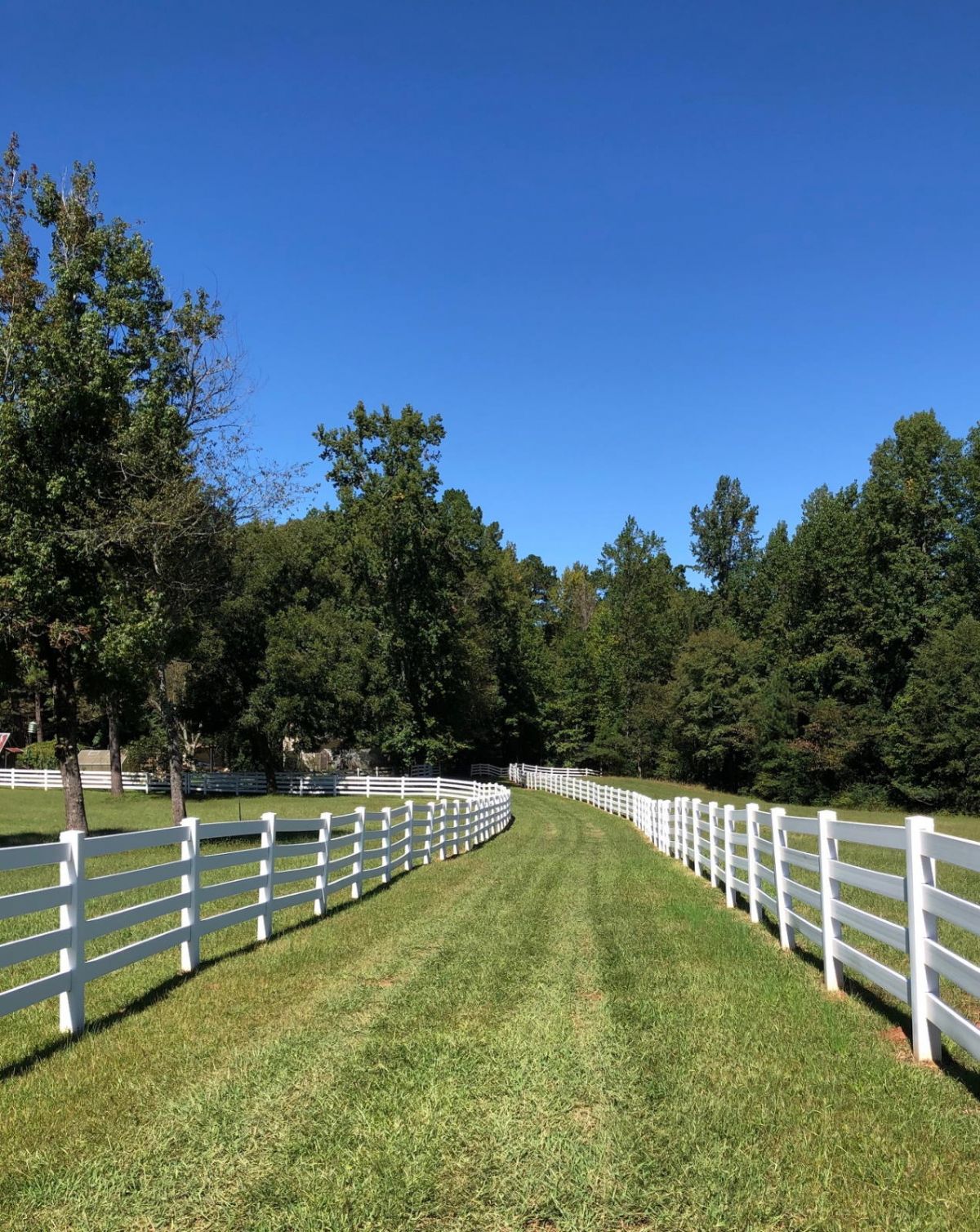 Gallery Whispering Hills