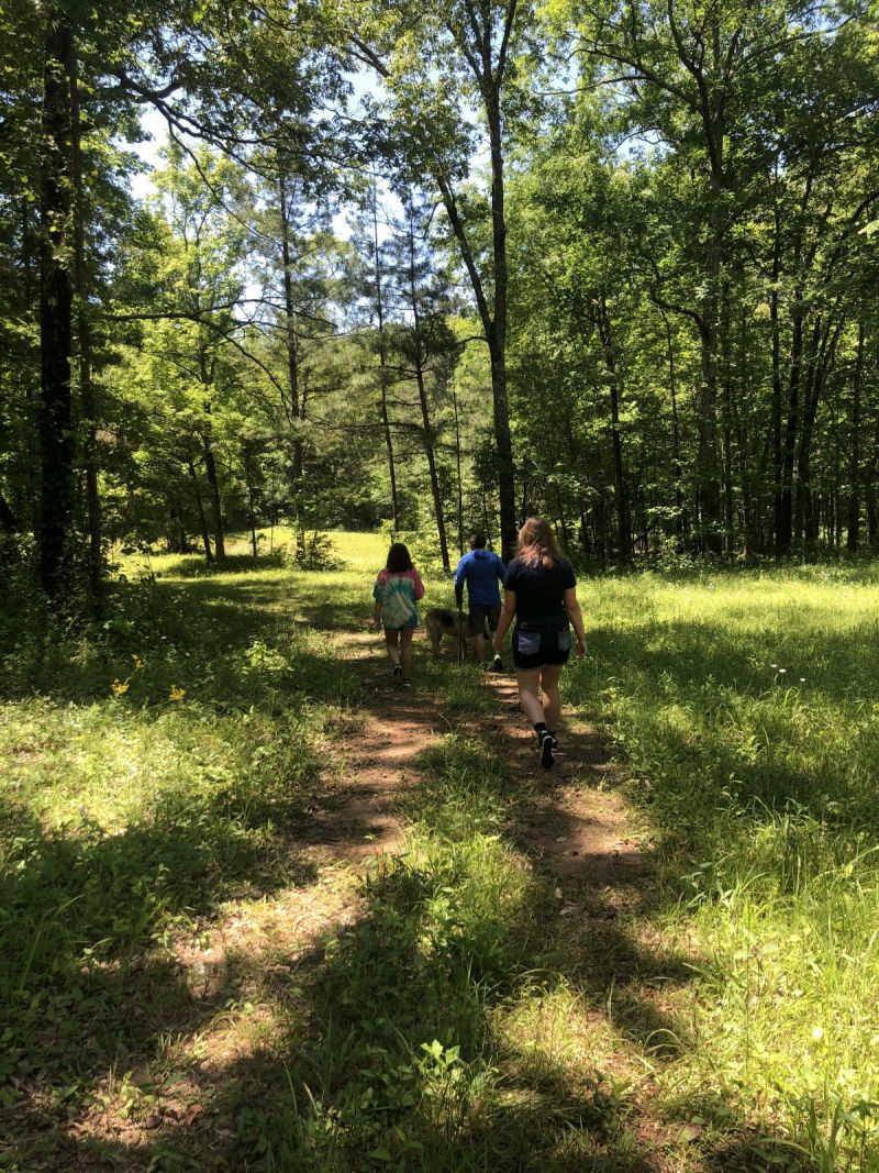 About the Cemetery Whispering Hills