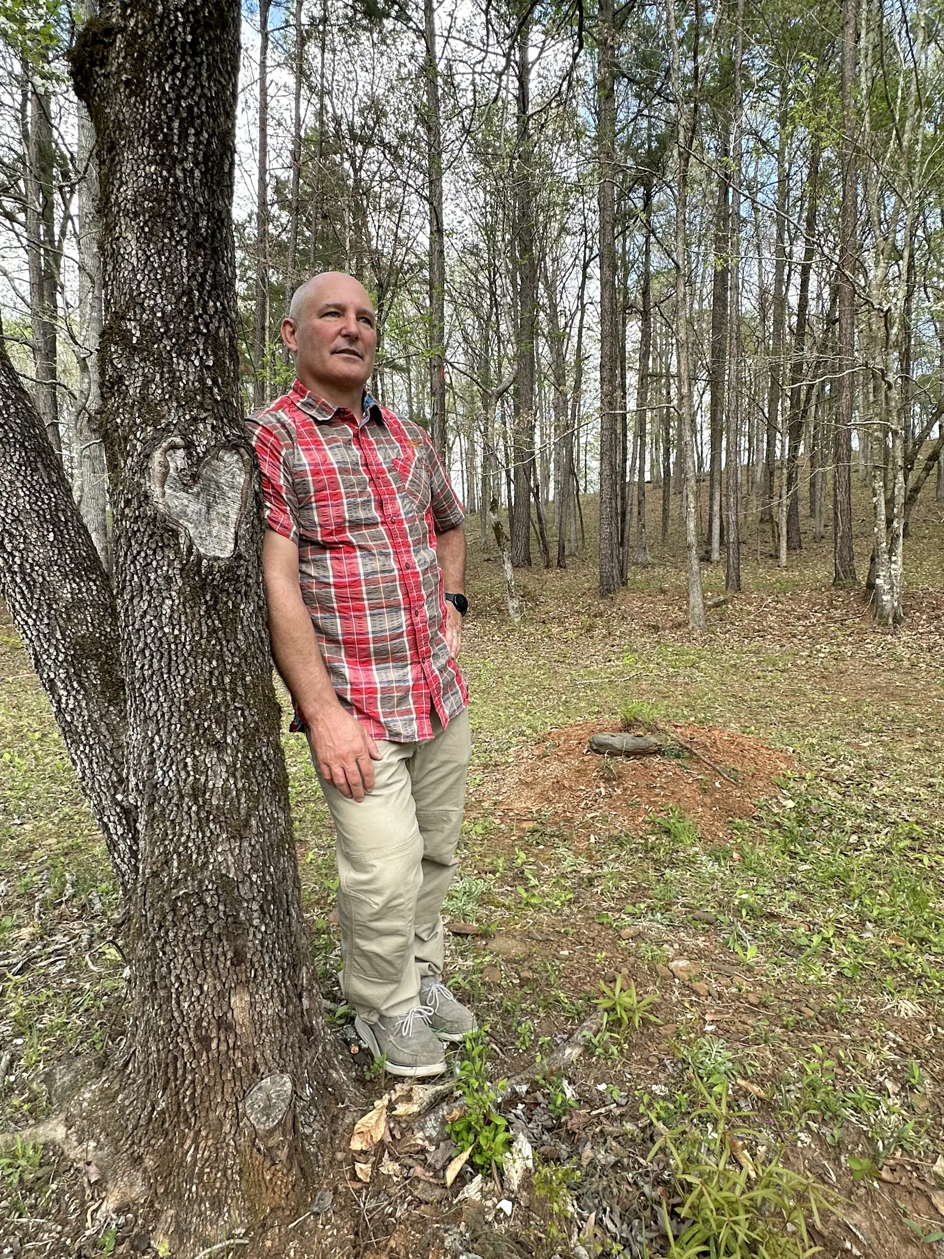 Jeff Martin cherishes the dogwood tree that stretches over his mother Joans final resting place at Whispering Hills